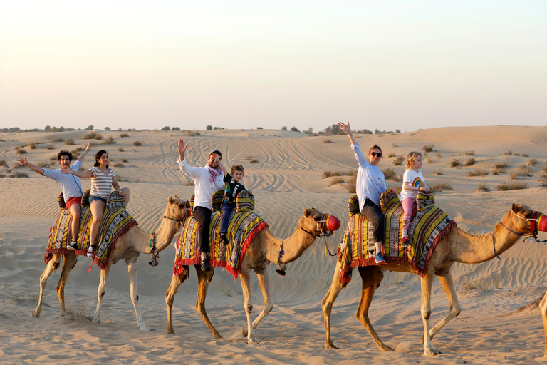 迪拜：Al Marmoom 的除夕庆祝活动和烧烤晚餐迪拜：在阿尔马穆姆庆祝除夕夜和烧烤晚餐