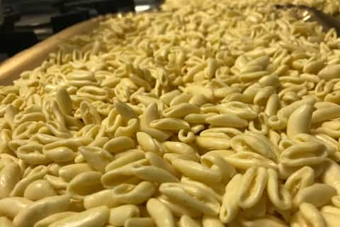 Foggia: The Art of Handmade Pasta Cooking Class