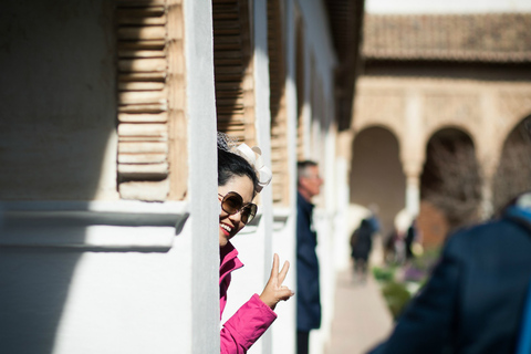 Granada: excursão privada aos palácios de Alhambra e Nasrid