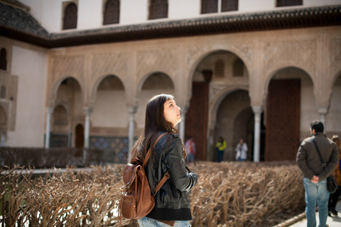 Granada: excursão privada aos palácios de Alhambra e Nasrid