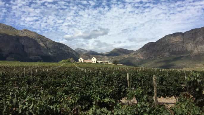 excursão particular de um dia inteiro à rota do vinho