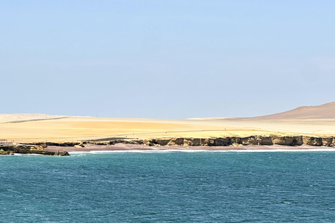 Paracas: Sightseeing Tour of the Ballestas Islands and National Reserve