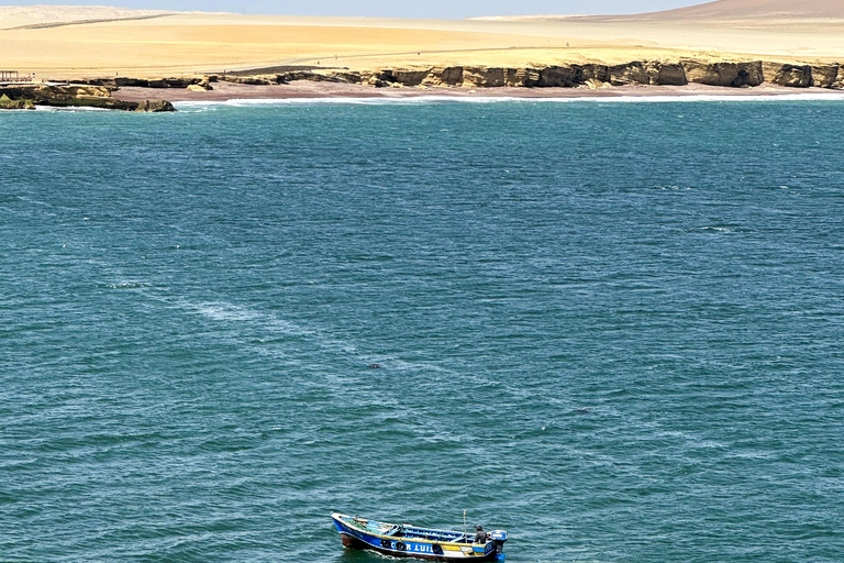 Paracas: Sightseeing Tour of the Ballestas Islands and National Reserve