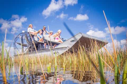 Everglades National Park Airboat Tour and Wildlife Show