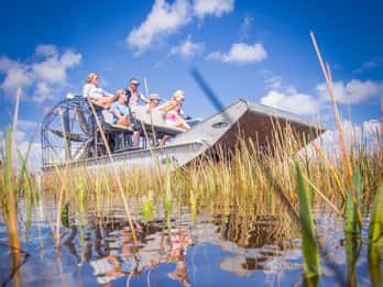 Everglades-Nationalpark: Airboat-Tour und Wildtier-Show Everglades-Nationalpark: Airboat-Tour und Wildtier-Show