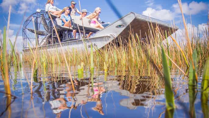 everglades national park airboat tour and wildlife show