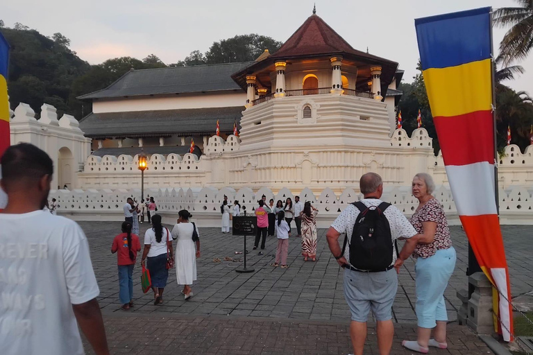 Colombo: Private Transfer to Sigiriya, Dambulla, or Kandy