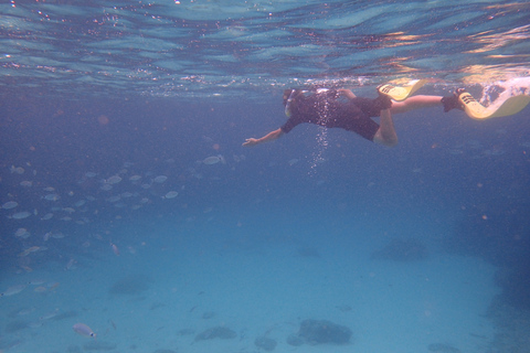 Mallorca: snorkelen in een prachtig natuurreservaat