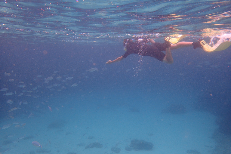 Maiorca: snorkeling in una stupenda riserva naturaleMaiorca: snorkeling in una splendida riserva naturale