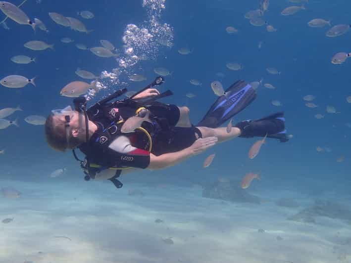 Mallorca: Try Scuba in a Reserve | GetYourGuide