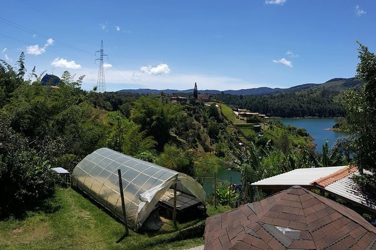 Medellín: 1-dniowa wycieczka do Guatapé i na farmę kawyGuatapé i prywatna farma kawy