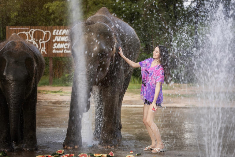 Chiang Mai : Programme éthique d&#039;alimentation et de douche des éléphants