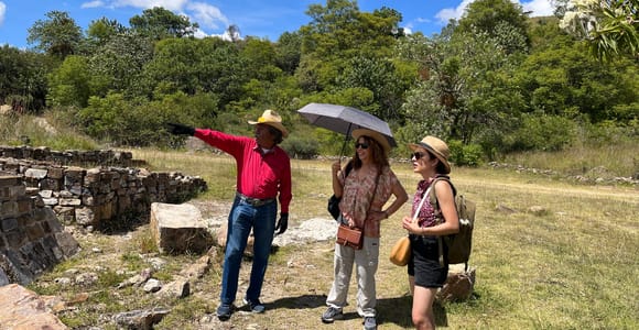 Oaxaca de Juarez: Monte Alban Half-Day Tour