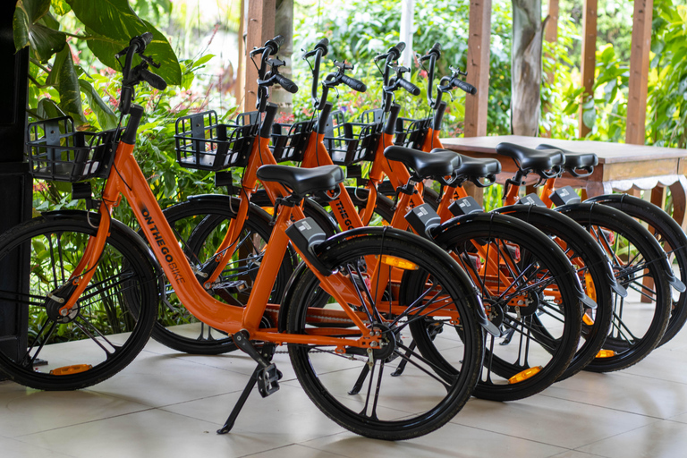 Paje: Full-Day Bike Rental with Helmet and Lock
