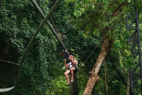 Phuket: Jungle Adventure, Roller Zipline & Skywalk & Buffet