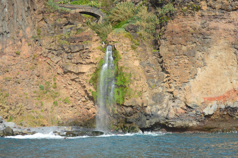 Calheta : Visite en petit groupe d&#039;observation des baleines et des dauphinsCalheta : Observation des baleines et des dauphins Visite privée avec un designer