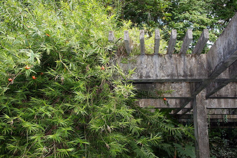 Rio de Janeiro: Sitio Roberto Burle Marx Guidad tur
