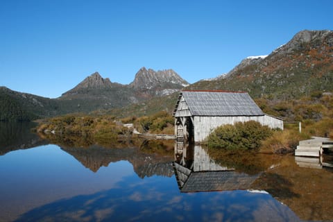 From Launceston: Cradle Mountain Day Tour