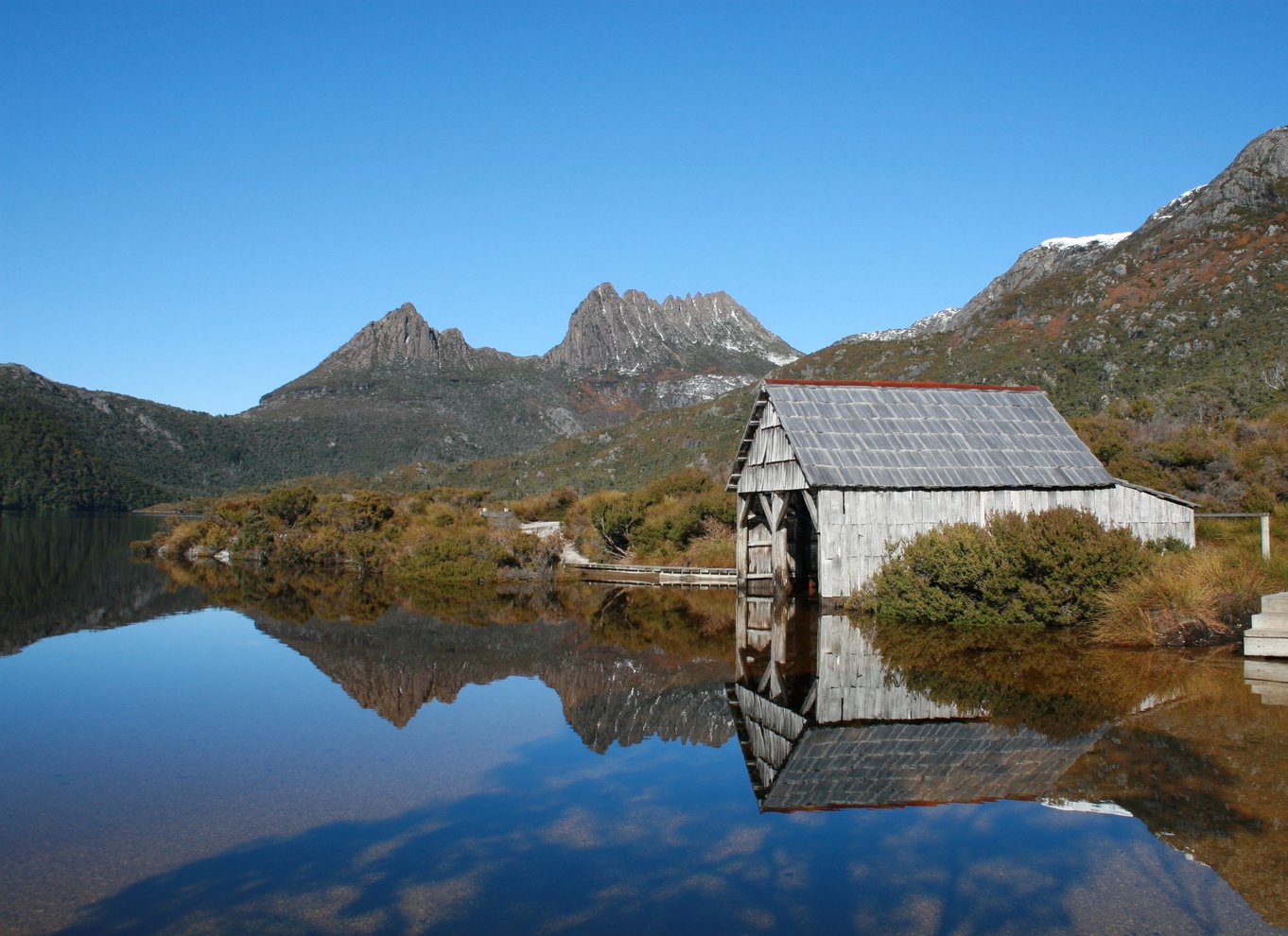 Launceston: Cradle Mountain National Park dagsudflugt med vandretur