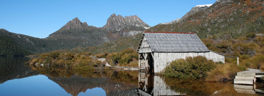 Depuis Launceston : excursion active guidée au mont Cradle