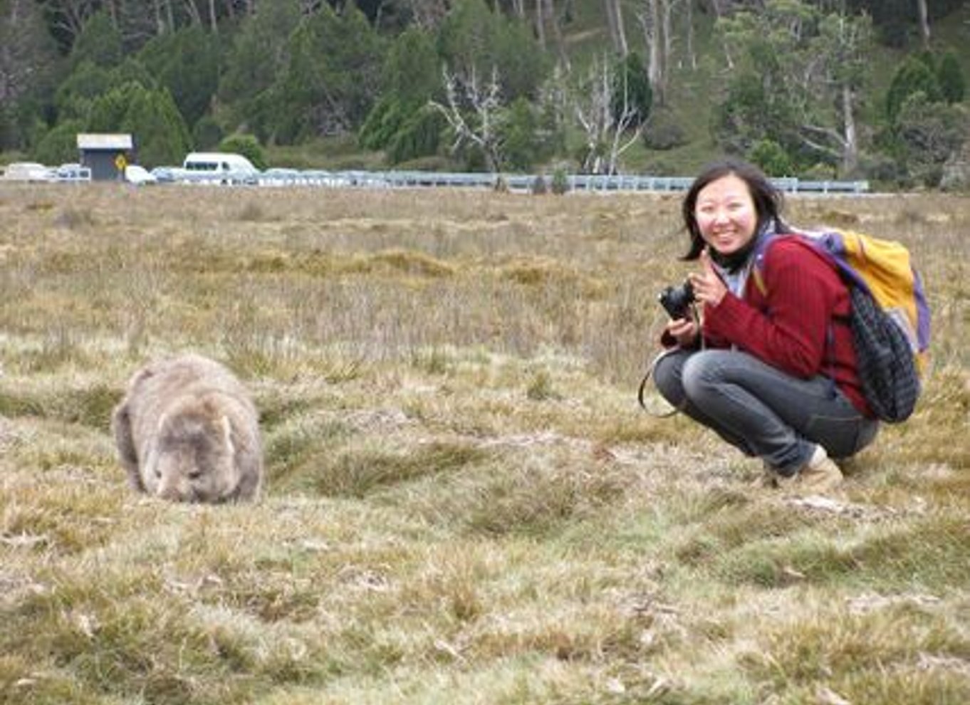 Launceston: Cradle Mountain National Park dagsudflugt med vandretur