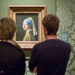 L'Aia: Biglietto d'ingresso per la Mauritshuis