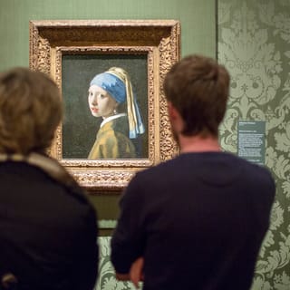 The Hague: Mauritshuis Entrance Ticket
