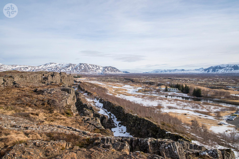 From Reykjavik: 3 Day Family Package