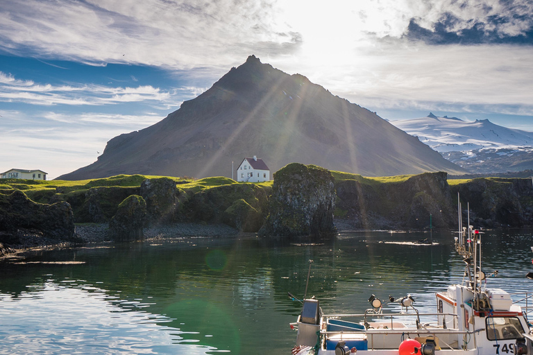 From Reykjavik: 3 Day Family Package