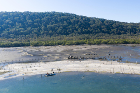 Stradbroke Island: First Nations Oyster Farm Tour & Tasting