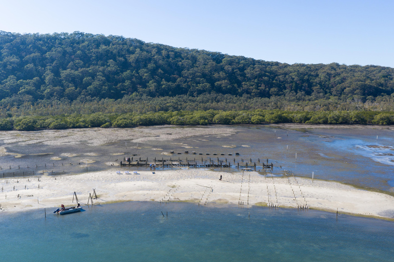 Stradbroke Island: First Nations Oyster Farm Tour & Tasting