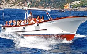 Capri: Island Boat Tour with Blue Grotto Stop
