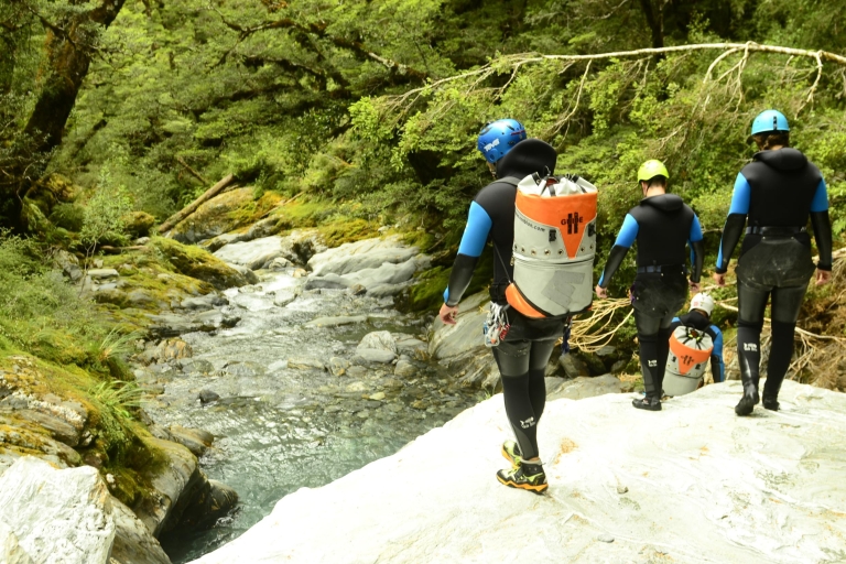 Mt Aspiring Full-Day Canyoning Adventure from Queenstown