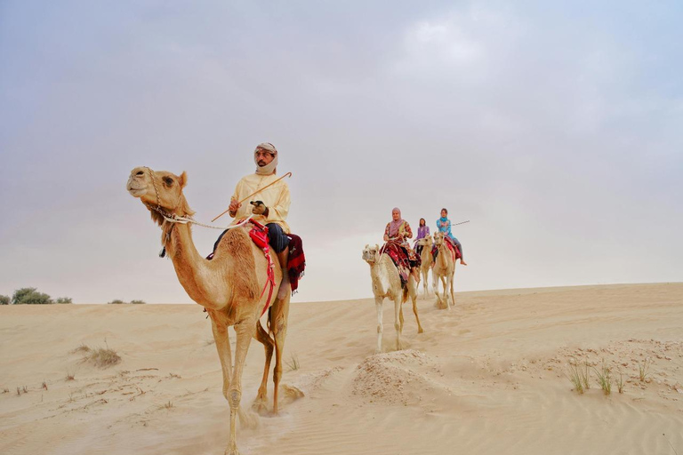 Desert Tour, Camel Ride, Dinner, Shows & Sandboarding