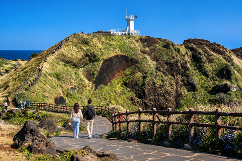 Jeju: Udo Island, Seongsan & Tangerine Picking Tour