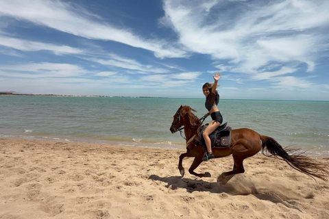 Hurghada: 1 HR Red Sea Swimming with Horses with Transfers Exclusive Family Package – 1 HR with Swimming & Transfers