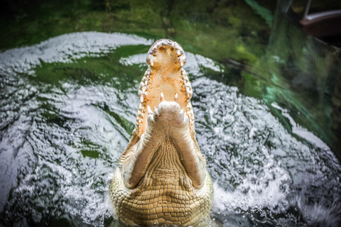 Breakfast with Koalas at WILD LIFE Zoo Darling Harbour