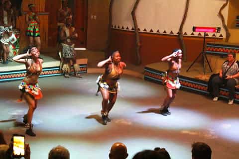 Cultureel dorp Lesedi en Lion Park Day Tour