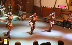 Private Lesedi Cultural Village Half-Day Tour