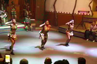 Lesedi Cultural Village Half-Day Tour - Housity