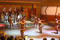 Lesedi Cultural Village Half-Day Tour - Housity