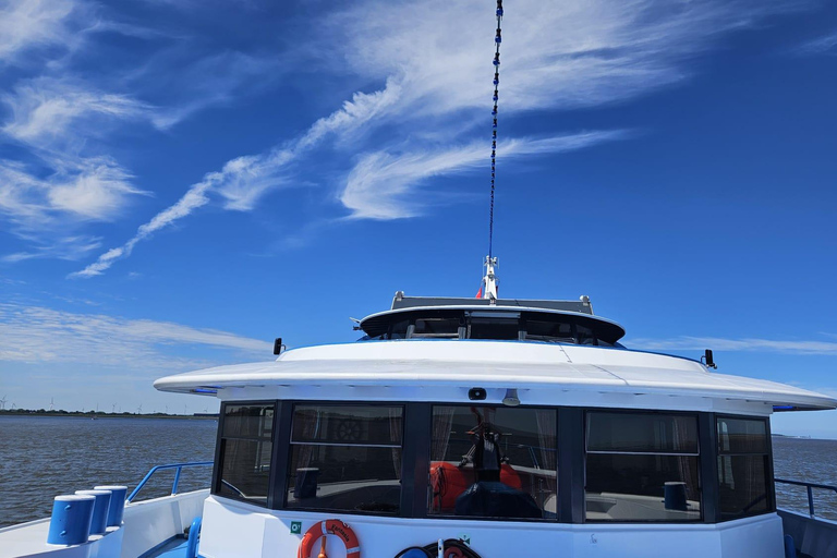 Cuxhaven: Boat tour to the seal banks in the Wadden Sea National Park