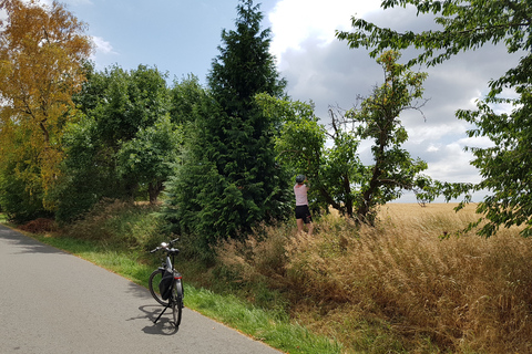 Dresden: E-Bike Tour and Dresden Heath Forest Trails