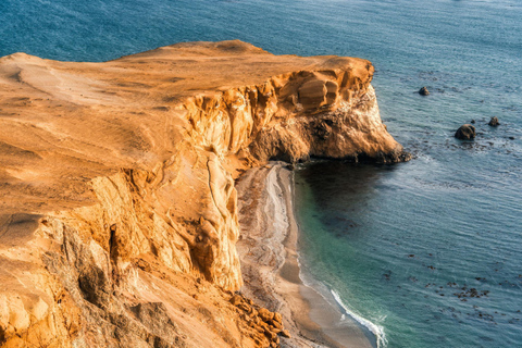 From Lima: Paracas Reserve & Nazca Lines Flight from Pisco