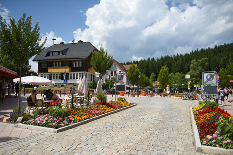 Tour privado: Zúrich a Titisee-Neustadt y cataratas del RinDesde Zúrich: viaje a Titisee-Neustadt y cataratas del Rin