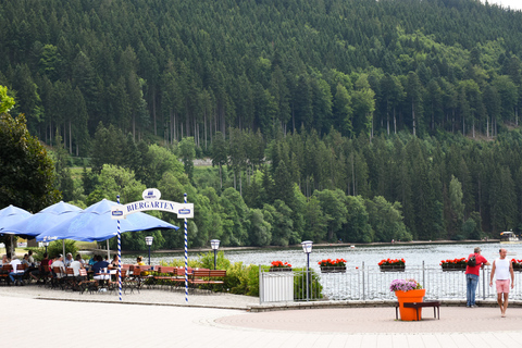 Visite privée de Zurich à Titisee-Neustadt et aux chutes du RhinDe Zurich: Excursion d'une journée au Titisee-Neustadt et aux chutes du Rhin