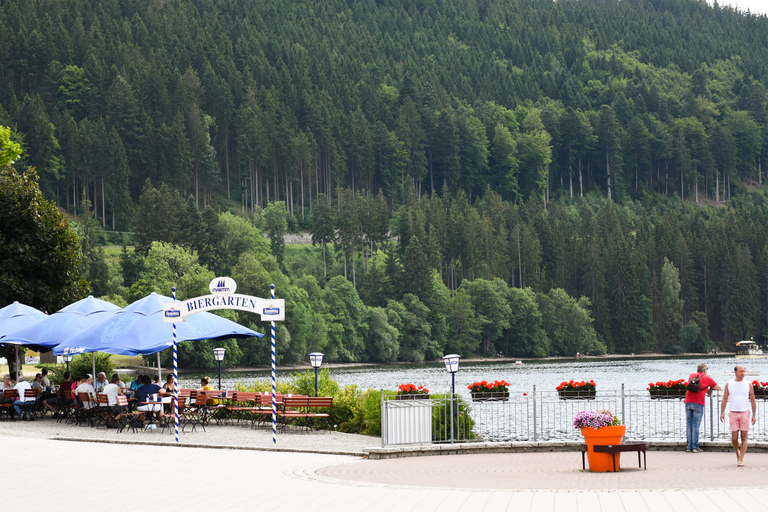 Tour privado: Zúrich a Titisee-Neustadt y cataratas del RinDesde Zúrich: viaje a Titisee-Neustadt y cataratas del Rin