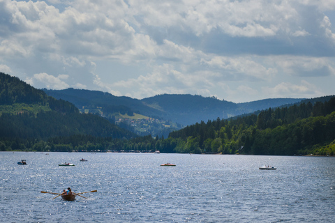 Tour privado: Zúrich a Titisee-Neustadt y cataratas del RinDesde Zúrich: viaje a Titisee-Neustadt y cataratas del Rin