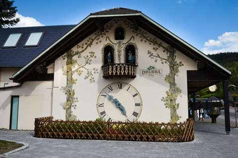 Visite privée de Zurich à Titisee-Neustadt et aux chutes du RhinDe Zurich: Excursion d'une journée au Titisee-Neustadt et aux chutes du Rhin