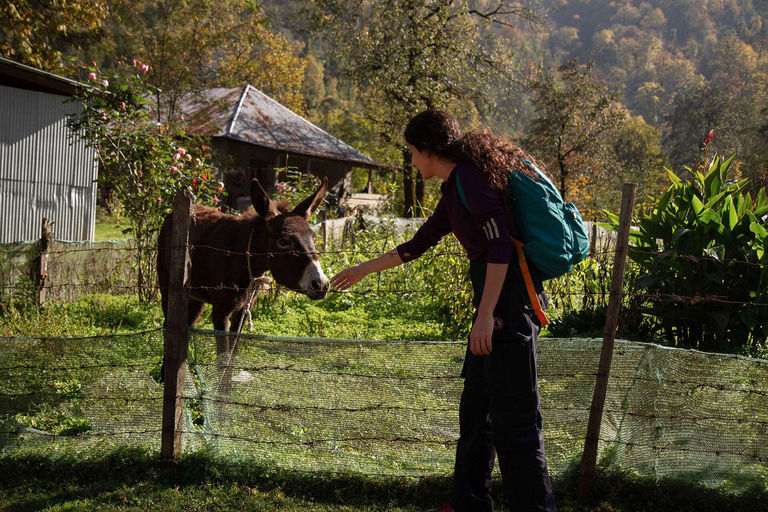 Baku: Southern Azerbaijan Hot Springs and Nature Tour 1-Day Lankaran Hot Springs Tour – Standard (No Meals)